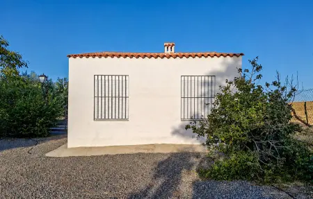 Maison 145 m² avec piscine à Belalcázar : photo 12