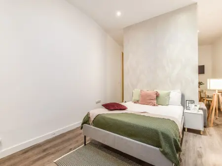 Studio Gran Vía VIII, 40 m² pour 4 adultes à Madrid : photo 15
