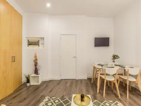 Studio Gran Vía VIII, 40 m² pour 4 adultes à Madrid : photo 18