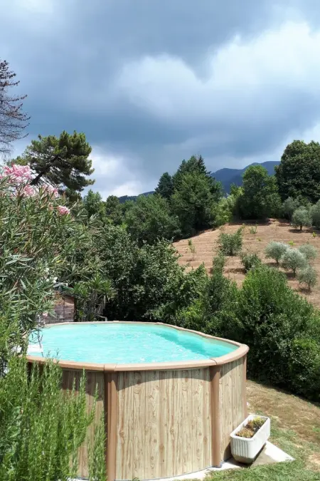 Rustico rénové à Camaiore avec piscine privée : photo 1
