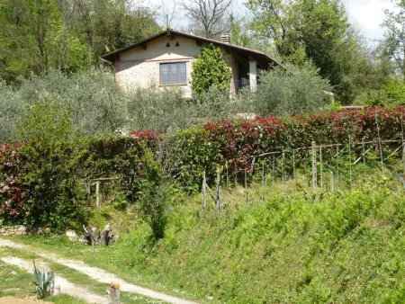 Rustico rénové à Camaiore avec piscine privée : photo 5