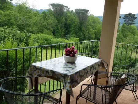 Rustico rénové à Camaiore avec piscine privée : photo 19