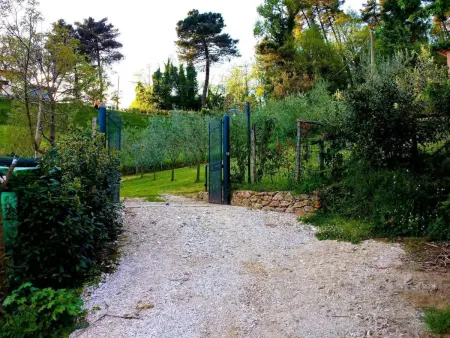 Rustico rénové à Camaiore avec piscine privée : photo 22