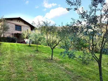 Rustico rénové à Camaiore avec piscine privée : photo 25