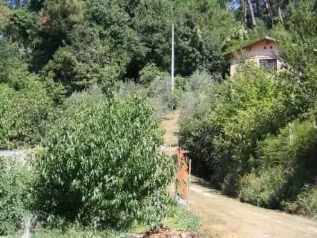 Rustico rénové à Camaiore avec piscine privée : photo 31