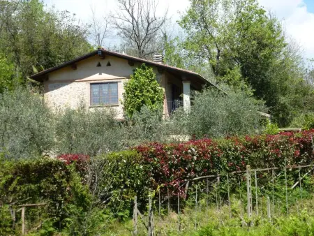 Rustico rénové à Camaiore avec piscine privée : photo 36