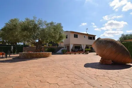 380369, Chalet à Muro avec piscine - Photo 4