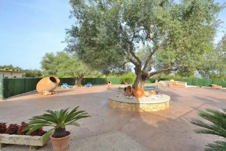380369, Chalet à Muro avec piscine - Photo 9