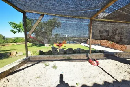 Gîte familial Santa Margalida, piscine sécurisée : photo 9