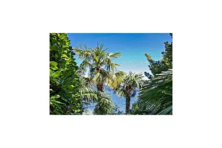 490854, La Terrazza 3 B - Photo 20