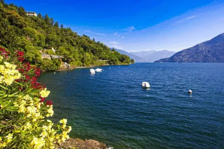 490848, La Terrazza 4 B - Photo 3