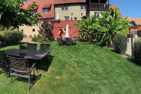 Maison de vacances avec sauna et piscine à Pfaffenheim : photo 23