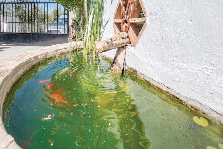 Casa Rural El Viso à Rute : maison 4 pers. avec piscine - Photo 30