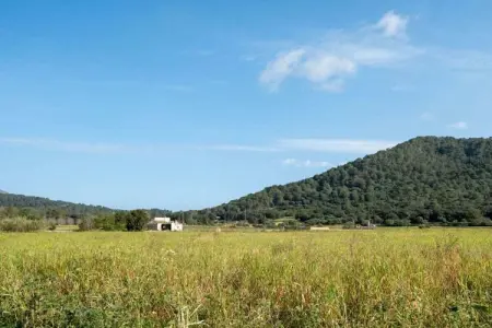 Gîte rustique Sa Pobla, piscine et terrasse couverte : photo 23
