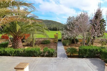 Gîte rustique Sa Pobla, piscine et terrasse couverte : photo 24