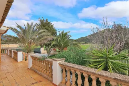 Gîte rustique Sa Pobla, piscine et terrasse couverte : photo 27
