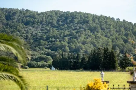 Gîte rustique Sa Pobla, piscine et terrasse couverte : photo 28