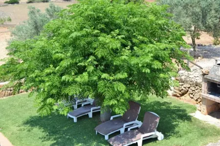 380422, finca à une chambre - Photo 2