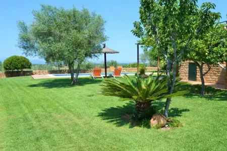 380422, finca à une chambre - Photo 12