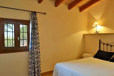 380422, finca à une chambre - Photo 18