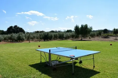 251291, Chalet à Muro avec piscine - Photo 13