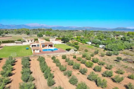 251291, Chalet à Muro avec piscine - Photo 29