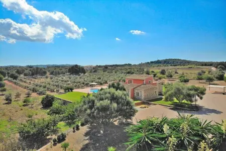 251291, Chalet à Muro avec piscine - Photo 31