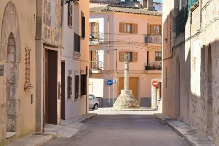 Maison 3 chambres à Muro, 10 km des plages : photo 34