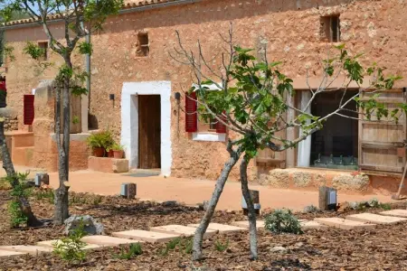 380357, Gîte de vacances avec 1 chambre - Photo 30
