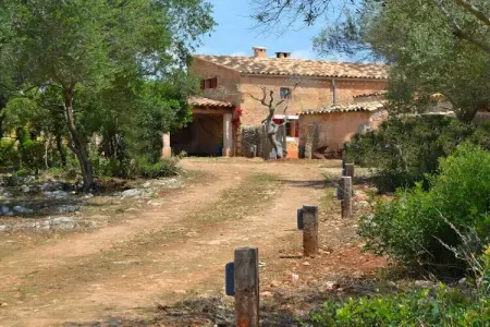 380357, Gîte de vacances avec 1 chambre - Photo 31