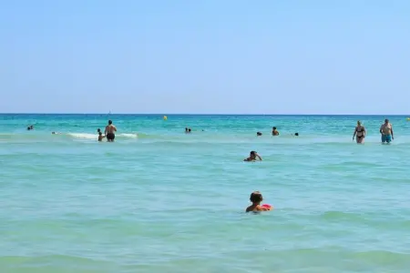 380417, Chalet à Sineu avec piscine - Photo 24