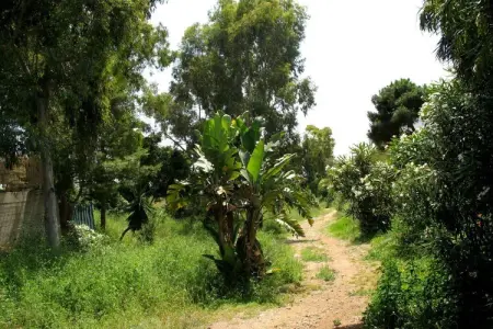 790666, Maison 137 à El Faro - Photo 30
