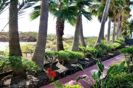 47915, Appartement avec piscine à Costa Calma - Photo 3