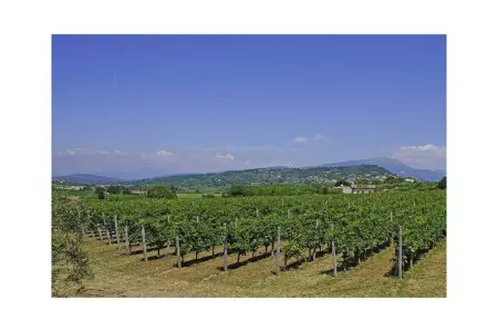 Maison de vacances avec piscine à Bardolino : photo 11