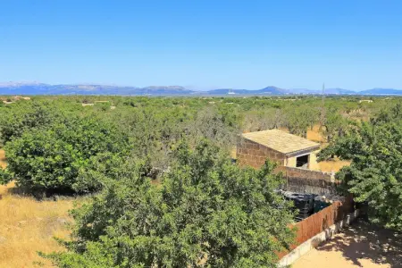 Villa Vernisa à Santa Margalida : piscine et jardin de 12 800 m² : photo 34