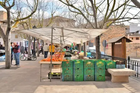 Maison Ca Ses Nines à Muro, 5 personnes : photo 36