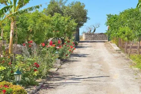 Finca avec piscine à Santa Margalida, 4 personnes : photo 11