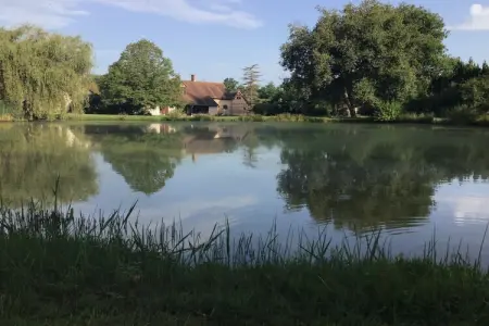Gîte Sologne avec bain nordique à Marcilly-en-Gault : photo 4