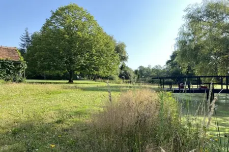 Gîte Sologne avec bain nordique à Marcilly-en-Gault : photo 5