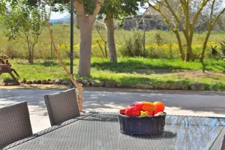 380392, Chalet à Sineu avec piscine - Photo 7