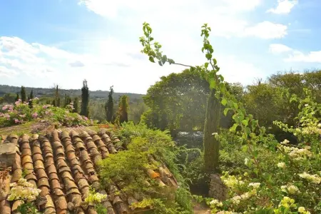 380376, Finca à Llubi avec piscine - Photo 23