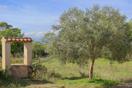 380407, Finca à Llubi avec piscine - Photo 32
