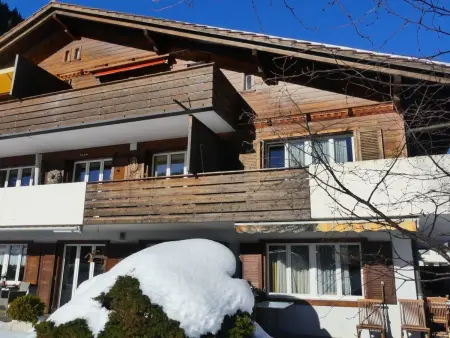 Location appartement à Adelboden, Silberdistel C09 Appartement/Fewo, Dusche, WC, 2 Schlafräume 3.5 Zimmerwohnung