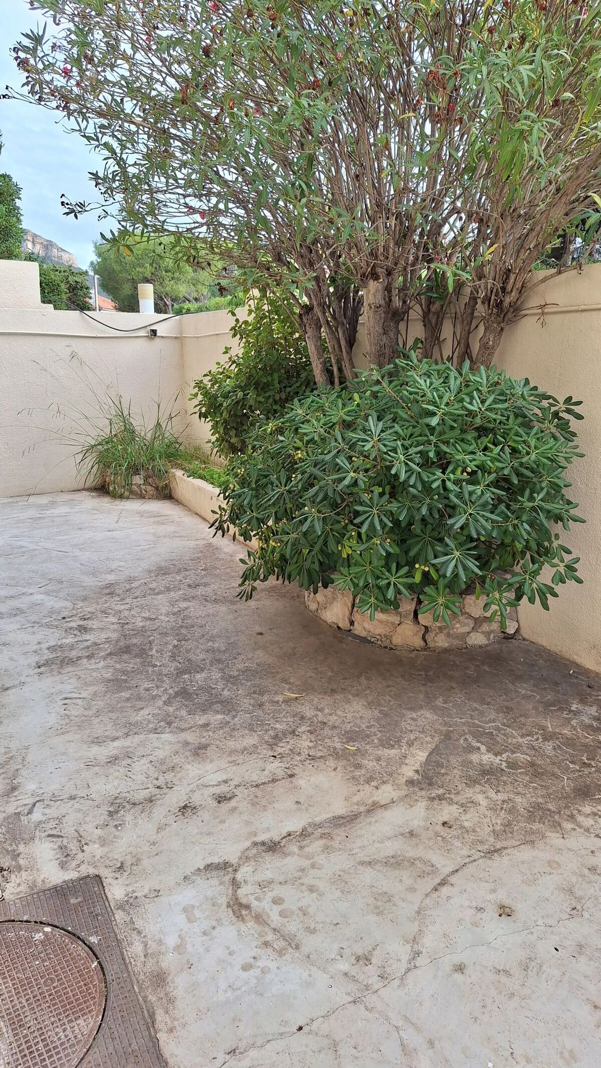 Studio 34 m² à Cassis avec jardin et parking - Photo 9