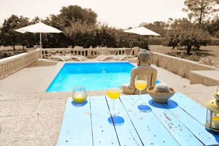 380405, Chalet à Sineu avec piscine - Photo 11