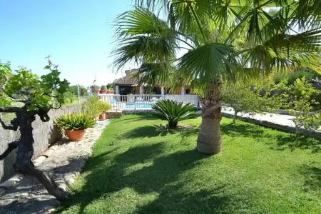 Maison Tramuntana à Inca : piscine et 5000 m² de jardin : photo 26