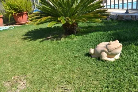 Maison Tramuntana à Inca : piscine et 5000 m² de jardin : photo 27