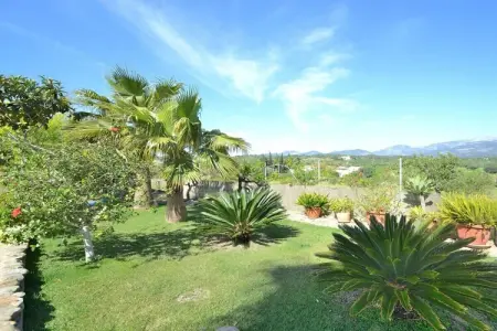 Maison Tramuntana à Inca : piscine et 5000 m² de jardin : photo 28