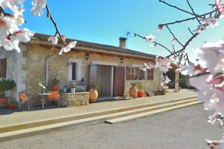 380386, Finca à Ariany avec piscine - Photo 4