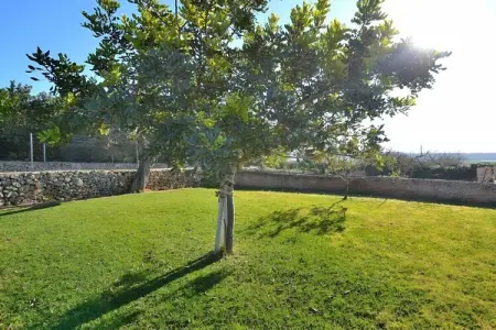 380386, Finca à Ariany avec piscine - Photo 27